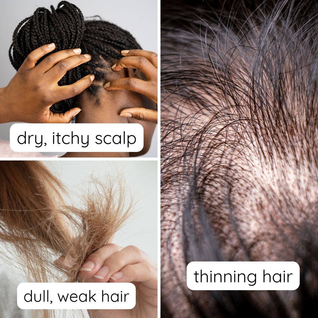 Hair Boost Tonic + Oil