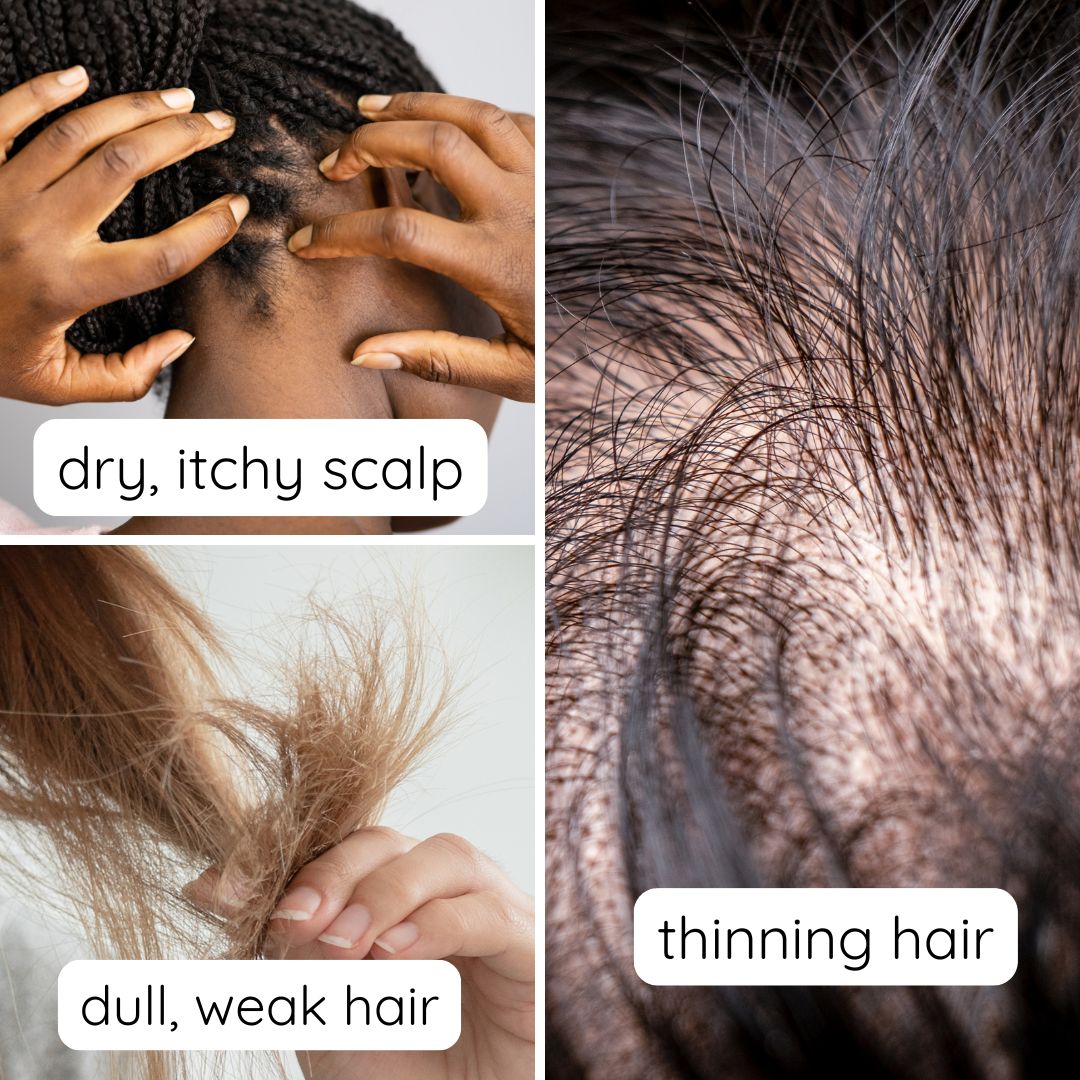Hair Boost Tonic + Oil