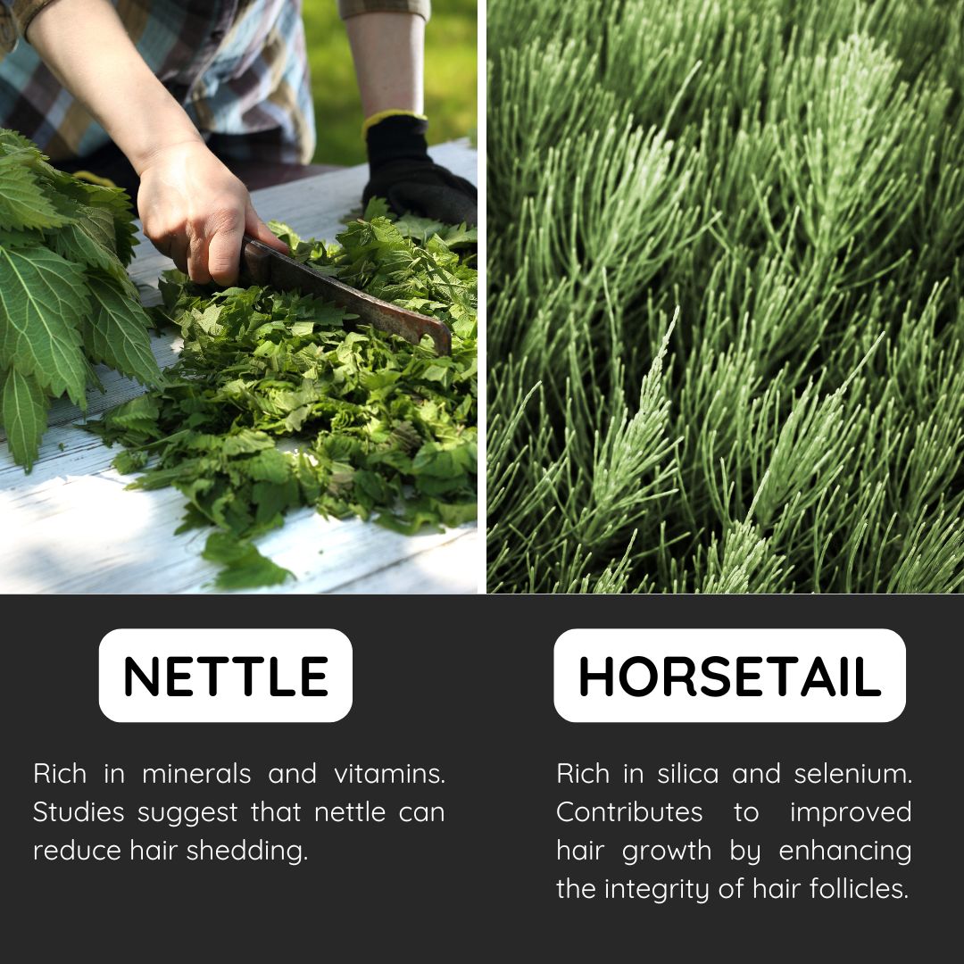 Hair Boost - herbal hair tonic