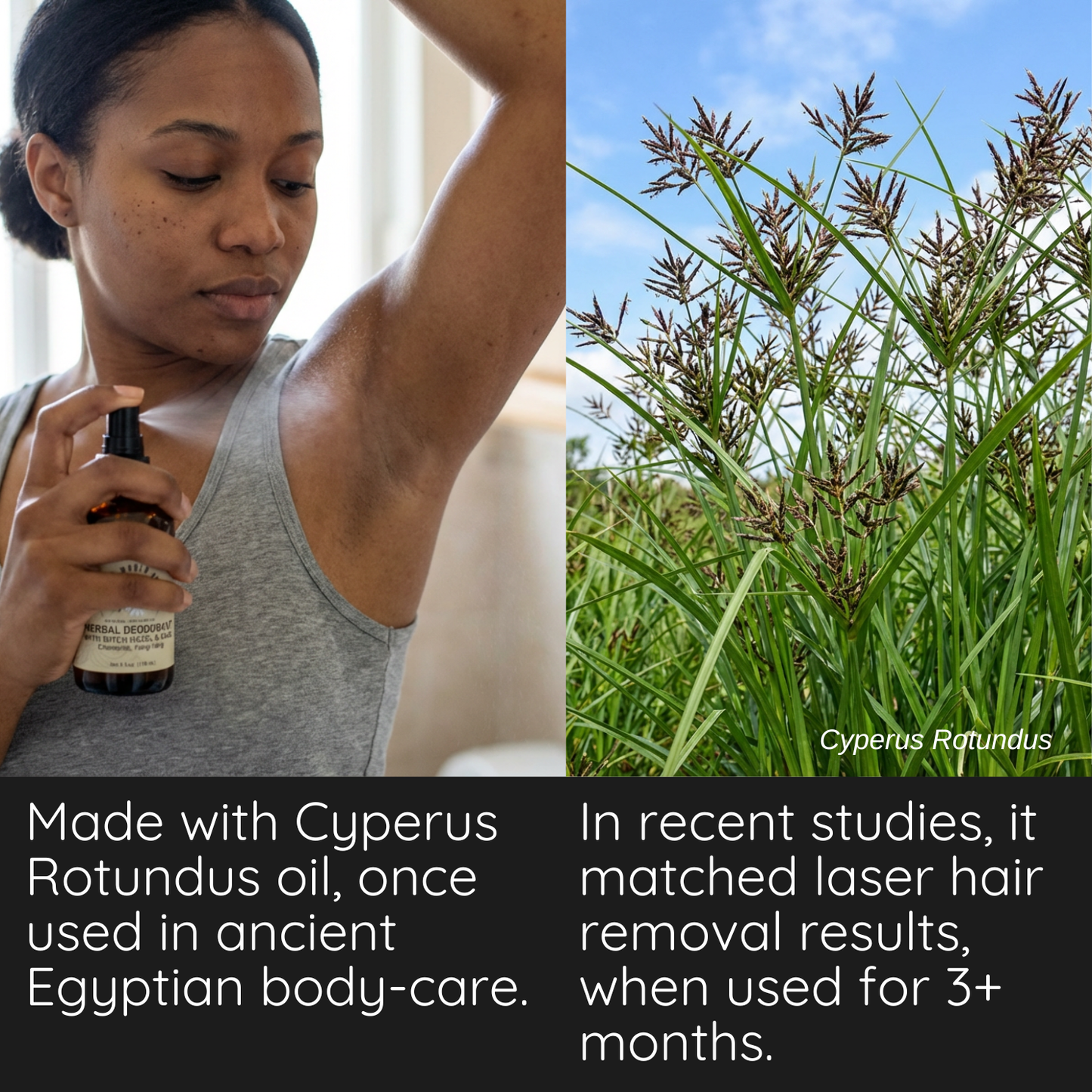 Herbal Deodorant Witch Hazel and Sage